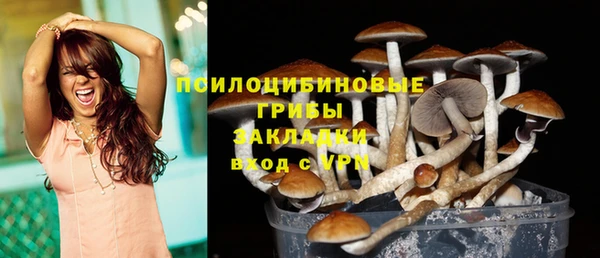 СК Кулебаки