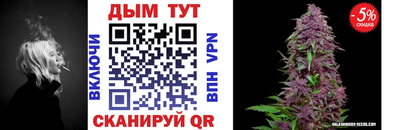 Купить где  Пыталово  Канабис конопля 